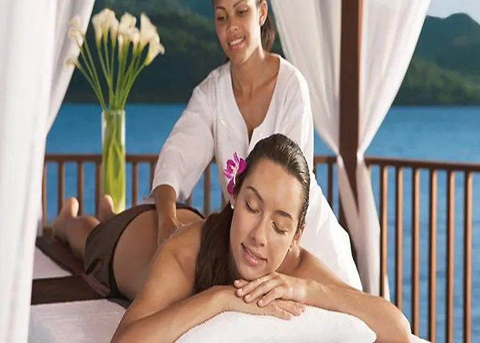 Secrets Wild Orchid Adults Only 5*